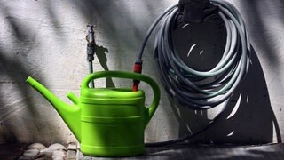 Eine Gießkanne und ein Gartenschlauch: In Mainz sollen die Menschen wegen der extremen Hitze Wasser sparen und weniger ihre Gärten bewässern und keine Pools befüllen