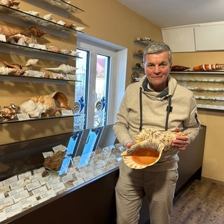 Bernd Kapitza mit einer großen Muschel im Muschelmuseum Ochsenhausen.