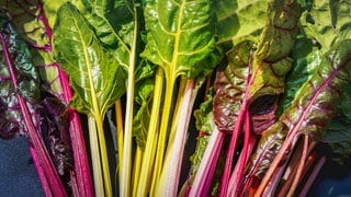 Spinat-Alternativen: Mehrere Mangoldblätter mit unterschiedlich farbigen Blättern.