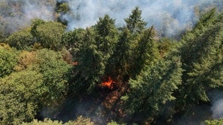 Ein Waldbrand hat sich im August auf rund fünf Hektar in der Nähe der Ortsgemeinde Bengel (Landkreis Bernkastel-Wittlich) ausgedehnt. 