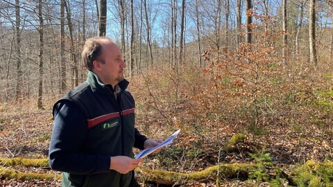 Ein Forstreferendar im Wald.