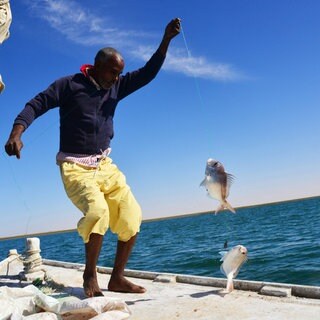 Fischer im Nationalpark Banc d’Arguin in Mauretanien holt zwei Fische ins Boot: In Mauretaniens Nationalpark Banc d’Arguin wachsen die meisten Fische auf, die in Westafrika gefangen werden. Sein Schutz wirkt der Migration entgegen.