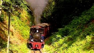 Eine rote Dampflok fährt durch eine waldige Landschaft