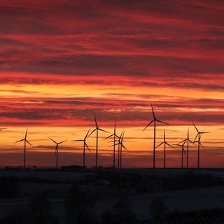 Windräder im Sonnenuntergang, Windpark Bachra