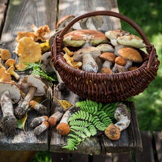 Pilze im Körbchen auf einem Holztisch