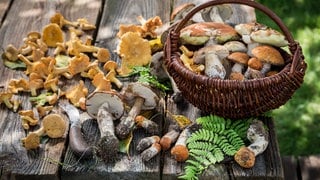 Pilze im Körbchen auf einem Holztisch