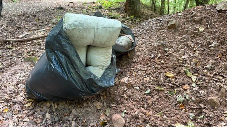 Verschmutzung im Trierer Wald
