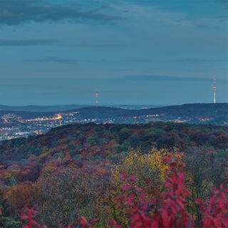 Landesschau Baden-Württemberg