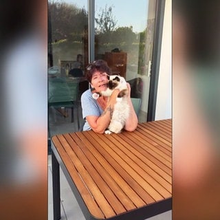 Idylle ist zurück bei ihrer Besitzerin in Frankreich.