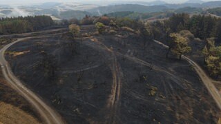 Drohnenaufnahme der zerstörten Landschaft nach dem Waldbrand bei Langscheid in der Vordereifel