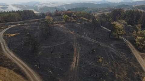 Drohnenaufnahme der zerstörten Landschaft nach dem Waldbrand bei Langscheid in der Vordereifel