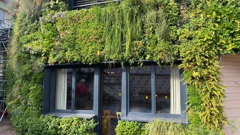 Teilansicht der Hausfassade mit dem vertikalen Garten in Karlsruhe-Knielingen  