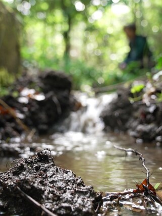 Kühlwasser eines Freiburger Pharmaherstellers fließt in fünfzig ausgebaggerte Gräben zwischen Bäumen. Dort soll es versickern - ein Vorzeigeprojekt. Durch den Klimawandel verdunstet immer mehr Wasser. Der Klimasachverständigenrat BW schlägt deshalb nun Alarm.