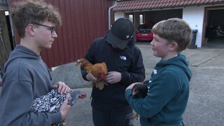 Jugendliche Kleintierzüchter halten Hühner in den Armen
