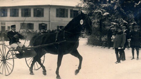Ein schwarz-weiß Bild von einem Mann, der in einer Kutsche sietzt und von einem Pferd gezogen wird. Er präsentiert sein Pferd aus der allerersten Hengstparade, die 1925 noch nicht in Marbach, sondern in Offenhausen stattfand.