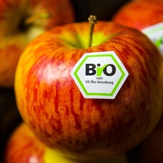 Ein Aufkleber auf einem Apfel zeigt das staatliche, sechseckige deutsche Bio-Siegel mit der Aufschrift „Bio nach EG-Öko-Verordnung“.