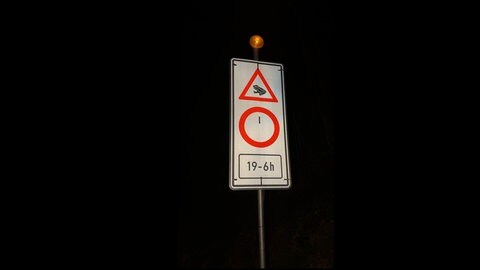 Ein Verkehrsschild zeigt "Einfahrt verboten" und "Achtung, Kröten": Die K16 zwischen Wachenheim und Lambrecht ist während der Zeit der Amphibienwanderung nachts gesperrt