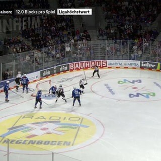 DEL: Mannheim-Nürnberg