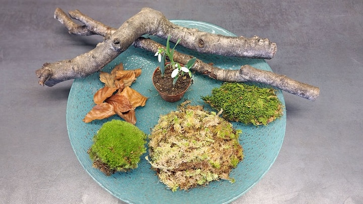 Winterliche Dekoration mit Schneeglöckchen, Moos, Holz und Ästen