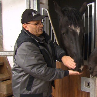 Peter Schlaer steht vor einem Stall und füttert zwei schwarze Pferde.