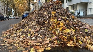 Großer Laubhaufen am Rande einer Straße. In Mainz gibt es in diesem Jahr viel früher und mehr Laub im Herbst als sonst.