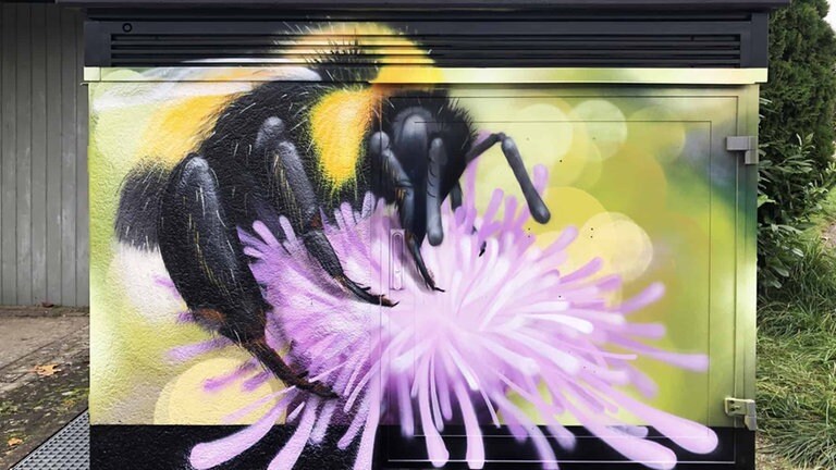 Graffiti Kunstwerke des Ulmer Künstlers Milo 