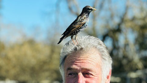 Franz Ruchlak und sein Singvogel namens Fips. Der Falkner trainiert den Singvogel in Löffingen.