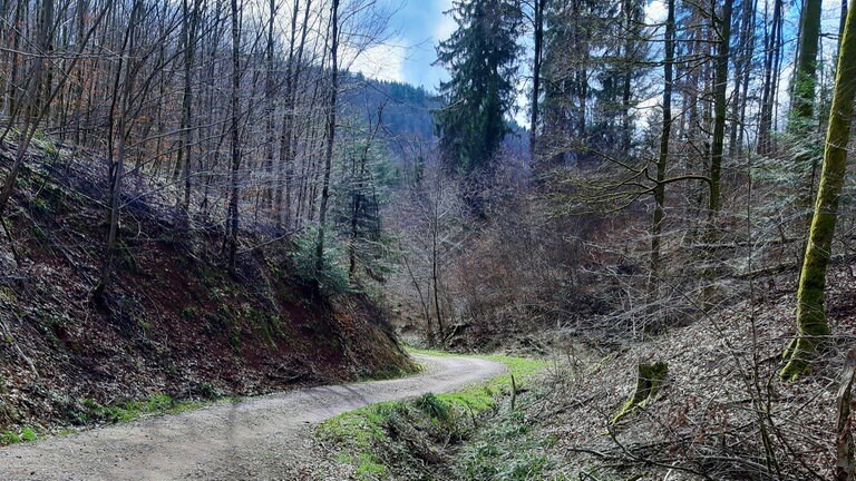 Badische Revolution 1848: Am 20. April 1848 trifft auf der Scheideck, einer Passhöhe oberhalb von Kandern,  Heckers Haufen auf Soldaten des Deutschen Bundes. Deren Kommandeur ist Friedrich von Gagern, Bruder des Mannes, der im Frankfurter Vorparlament Heckers politisches Debakel organisiert hat. Hecker und Gagern fordern gegenseitig Rückzug und Kapitulation. Es fallen Schüsse, es gibt Verwundete und Tote, darunter Gagern. Hecker flieht. Hier ein Weg auf der Scheideck, den die Kombattanten hinaufgelaufen sein müssten.