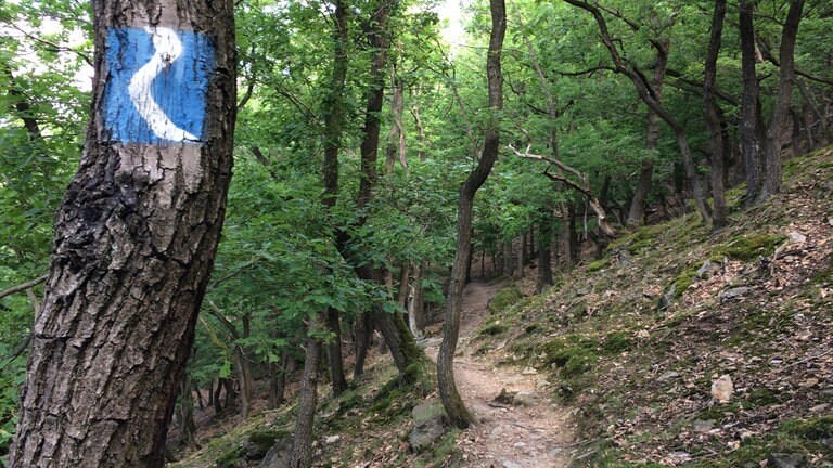 Mit einem stilisierten weißen Fluss auf blauem Grund ist der Rheinsteig markiert.