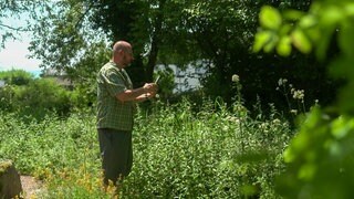 Ein Mann steht in einem Naturgarten. Um ihn rum ist alles grün und blüht. Er hält ein Handy in seiner Hand und fotografiert. 