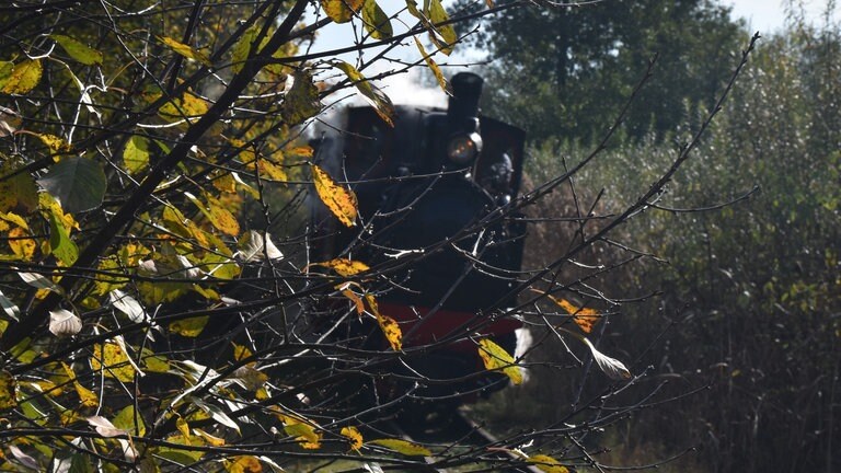 Dampfveteran BN2T im Wald von Bialosliwie