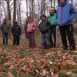 Schüler*innen im Wald