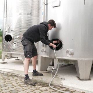 Zu viel Wein auf dem Markt: Aus Wein soll Industriealkohol entstehen 