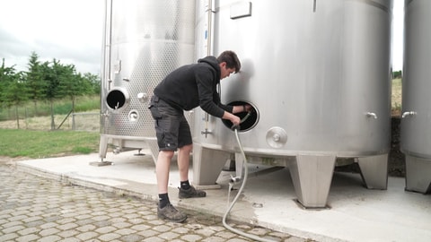 Zu viel Wein auf dem Markt: Aus Wein soll Industriealkohol entstehen 