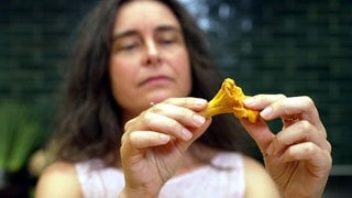 Pilzsachverständige Sylvia Hutter prüft einen Pfifferling: Bevor der Pfifferling im Supermarkt landet, reist er weit, tagelang, viele hundert Kilometer aus den Wäldern im Osten Europas. Ist er noch frisch?