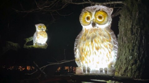 Auf den Wegen im Tierpark Rheinböllen gibt es viele verschiedene Lichtinstallationen, auch in Tierform.