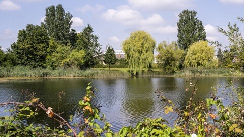 Der Russenweiher in Speyer.