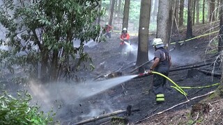 Erhöhte Waldbrandgefahr in der Region Trier