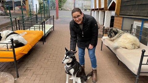 Sabrina Zakel arbeitet seit 25 Jahren im Tierheim Idar-Oberstein. Sie appelliert an die Katzenhalter, ihre Tiere zu kastrieren.