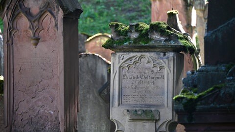 Jüdischer Friedhof Am Judensand in Mainz