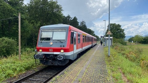Auch die Bahnstrecke von Winden nach Wissembourg wird wochenlang gesperrt. Schweighofen ist dann nur per Bus erreichbar und nicht mit den Triebwagen der Deutschen Bahn.