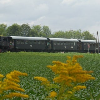 Museumszug zwischen Weizelsdorf und Ferlach