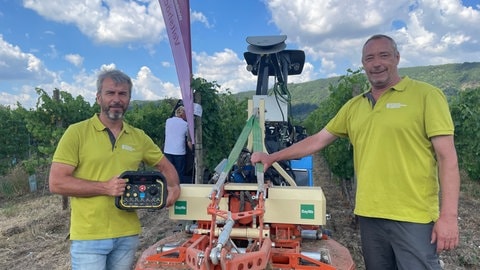 Diese Weinbergsraupe kann fahren, ohne dass jemand draufsitzt. Burkard Graber und Armin Weiss von der bayrischen Landesanstalt für Weinbau haben sie in Piesport vorgestellt. 