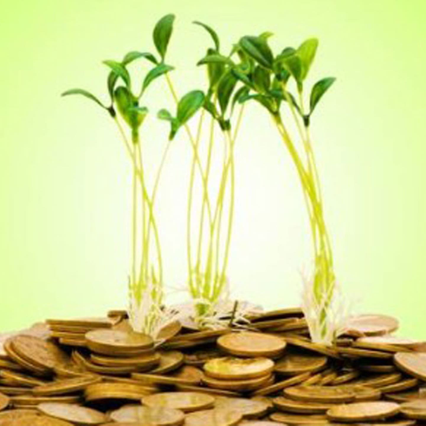 Klimaschutz geht ans Portemonnaie – Was ist mit dem sozialen Ausgleich?