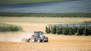 Ein Traktor pflügt ein ehemaliges Getreidefeld um. Im Hintergrund sind Obstplantagen und links ein Maisfeld.