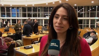 Melis Sekmen
