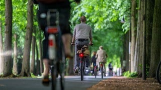 Mehr Radwege, mehr Sicherheit, mehr Radfahrer? Die Fahrradkommunalkonferenz in Landau will dafür sorgen, dass mehr Menschen das Auto stehen lassen und mit dem Rad fahren.