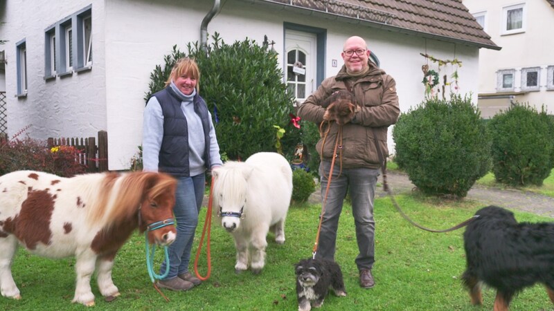Hierzuland Buchenau Tierbesitzer