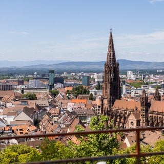 Stadtansicht von Freibung mit dem Münster