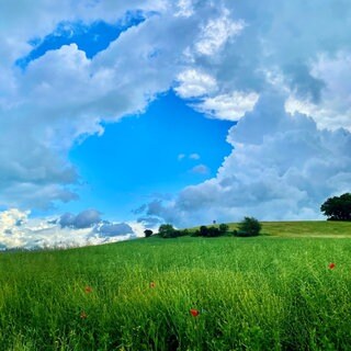 Aufatmen nach der großen Hitze. Sonne und Wolken wechseln sich ab. Meist bleibt es trocken.